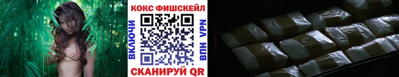 Кокаин Эквадор Нерехта