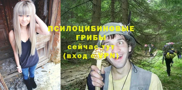 mdpv Богородицк