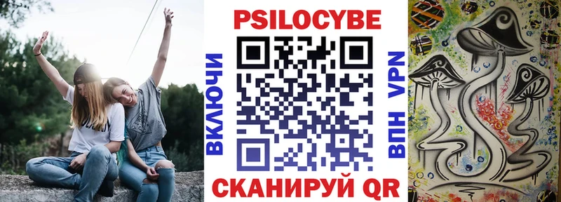 Галлюциногенные грибы Psilocybe Нерехта