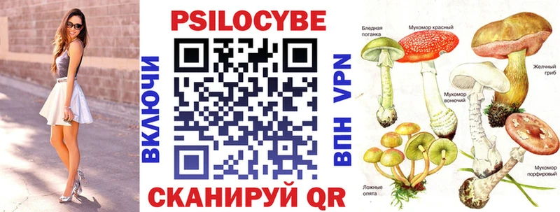 сколько стоит  Нерехта  Псилоцибиновые грибы прущие грибы 